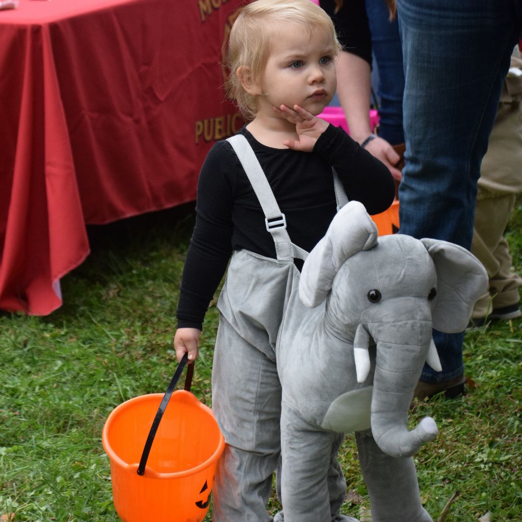 library festival 10-2019 150 (1024x1024).jpg